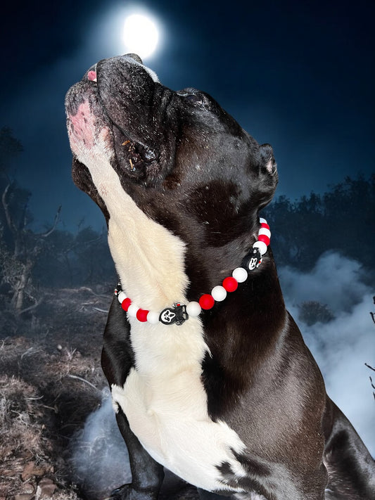 Scream Collar