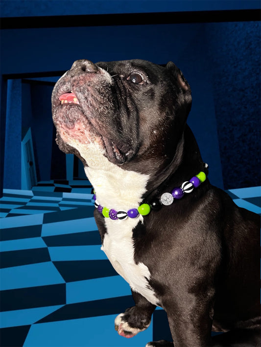Beetlejuice Collar